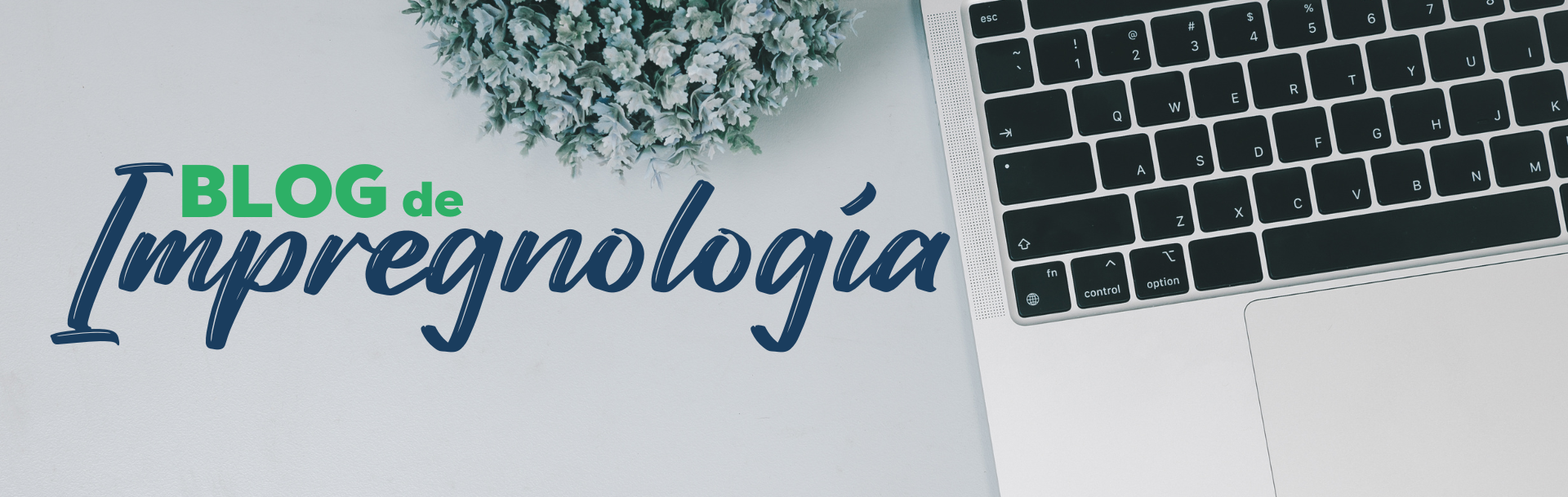 Blog de Impregnología - Escritos y reflexiones