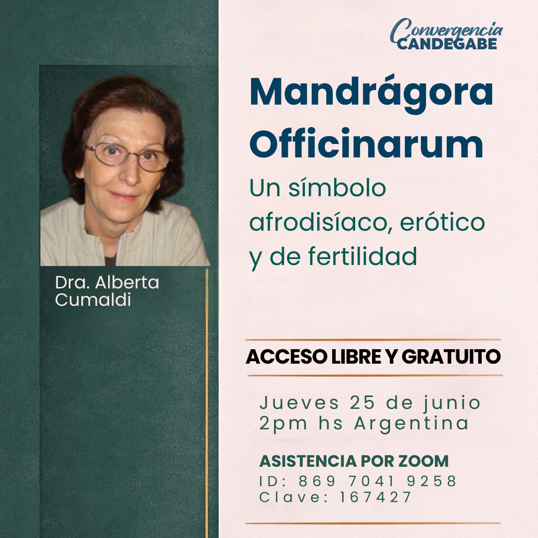 Mandrágora Officinarum